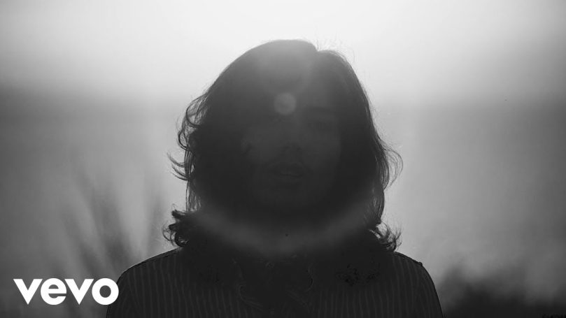 Leo Walrus Leo Walrus